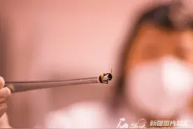 新技术！“熊蜂+无人机”授粉绿色高效图片