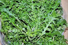 4月必吃菜！被称为“天然钙库”，清脆鲜香又爽口，千万别错过图片