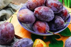 西梅是李子吗？西梅和李子如何区分？西梅和李子的营养价值图片