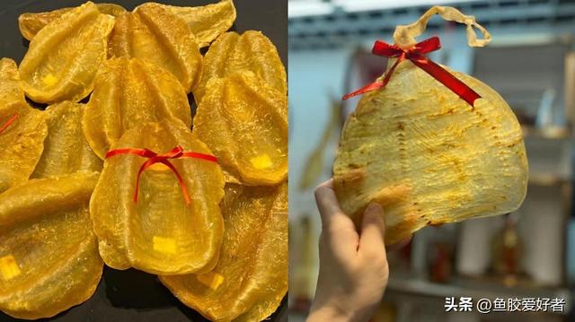 双背花胶和尖尾花胶 2026年双背花胶和尖尾花胶的区别