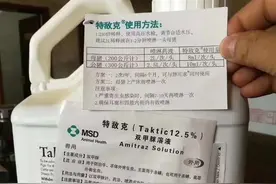 规模化猪场谈驱虫的重要性图片