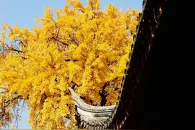 男女感情中，男人想要放弃，会流露出三个信号图片