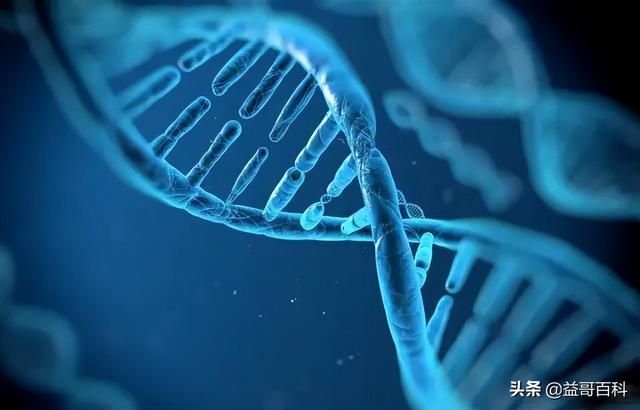 在地外首次发现生命的存在？氨基酸的发现意味着什么？