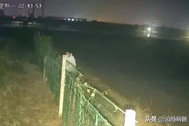 江苏泰州：为了尝鲜，组团偷蟹？抓！图片