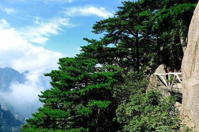 为什么说“黄山归来不看岳”？黄山“四绝”是什么？