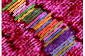 国际首次！蛋白质分子实现“帧级”捕捉图片