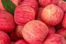 天天吃的苹果，你了解多少？图片