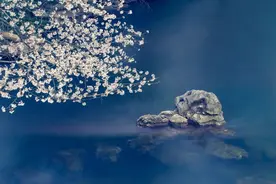 钱不借二，酒不喝三，路不走四，老祖宗的忠告，铭记在心！图片