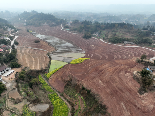 四川省民生研究会新媒体中心-官网