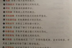 为另一半揪耳朵是一种什么体验？图片