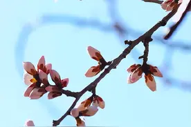 #辽宁好网民抗疫在行动#没有一个冬天不可逾越，没有一个春天不会来临！我们终将赢得胜利！营口加油！ ​​​图片