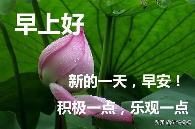 早上好表情精选，天地有情人间有爱，互相牵挂健康同行