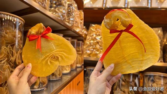 蜘蛛花胶怎分公母 2026年花胶 蜘蛛胶