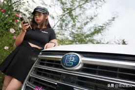 《小凤用车分享》关于唐DM-i的启动电池（小电瓶），你需要了解图片