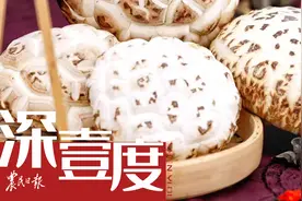 香菇海外“漫游记”图片