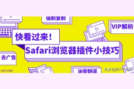 自从Safari浏览器装了油猴插件，真的是太好用啦图片