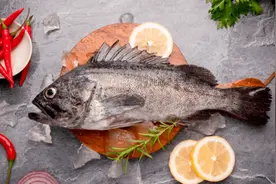 寻渔记｜科普系列之黑头鱼图片