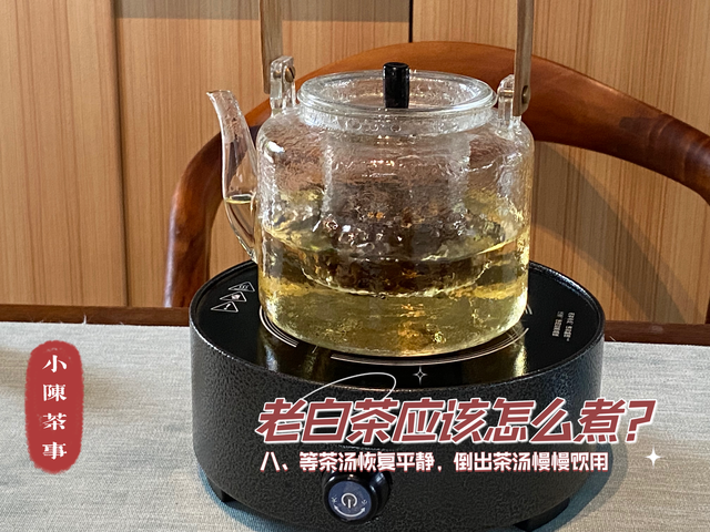 没有炖壶的养生壶怎么煮花胶 2026年没有养生壶怎么煮花茶