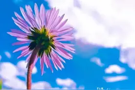 一幅漫画的启示图片