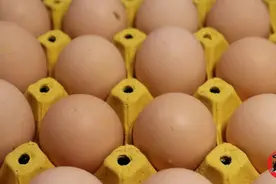 鸡蛋别放冰箱了，教你三招，这样保存3月，还跟新买的一样图片