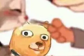 520表情包：我单身我骄傲图片