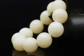 菩提根、白玉菩提傻傻分不清？一篇文章给你讲清楚！图片