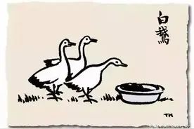 丰子恺《白鹅》图片