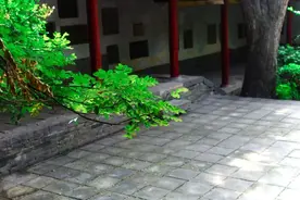 又逢毕业季，看名家如何送别图片