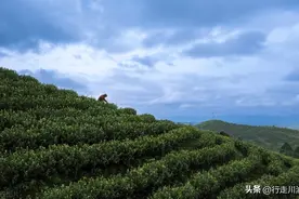 邻水为何对广安没有什么认同感？背后有这三大原因图片