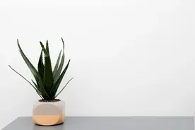 所有感情，都是这样变淡的图片