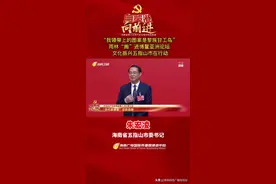 “我领带上的图案是黎族甘工鸟”雨林“搬”进博鳌亚洲论坛 文化振兴五指山市在行动图片