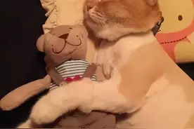 这一篇解决你的痘痘、痘印、痘坑，快来抄作业图片