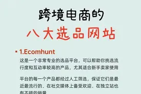 8个跨境电商选品网站(建议收藏)图片