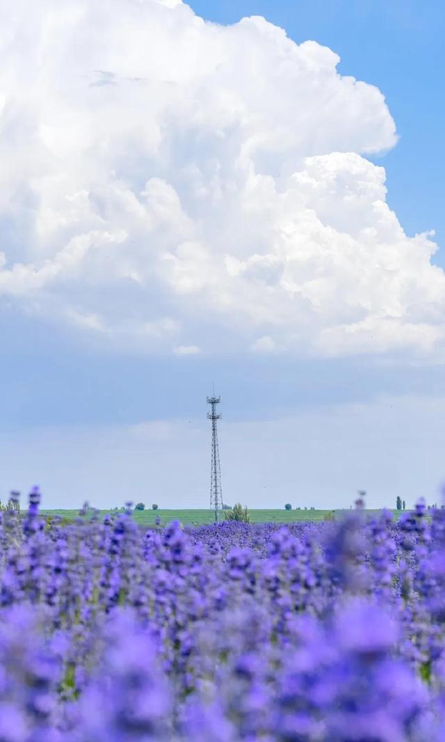 30句适合发朋友圈的文案