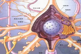 人脑是一台计算机吗？图片