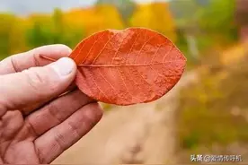 35岁单身汉娶了48岁的女人，这不是浪漫爱情而是光棍汉的无奈选择图片