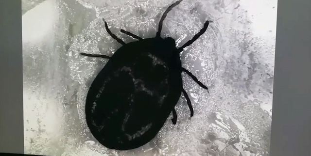 科技 第18页