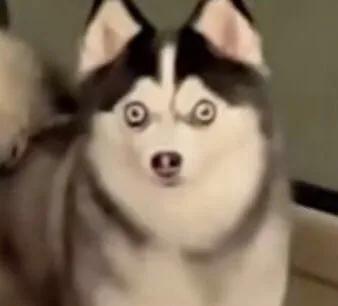 ÿЦЦ
