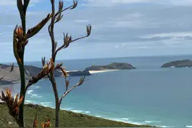 新西兰南岛地理环境对生态系统的影响与保护策略图片