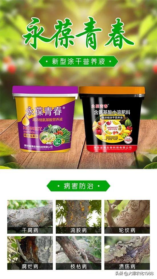 果树腐烂 轮纹 粗皮防治大有讲究！促生新根，壮树势这样做错不了