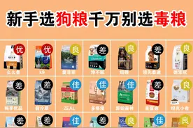 狗粮最全大测评，你家用的不会是毒狗粮吧图片