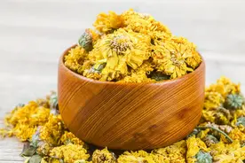 全国哪里的菊花最优质？经评比，这4款入选，有你喝过的吗？图片