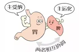 越鞠丸保和丸可治疗多种疾病，你知道吗？赶紧来了解一下图片