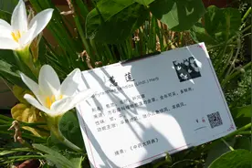 闽台青草药进社区，让每一个人都成为自己健康的“第一责任人”图片