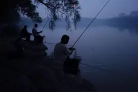 白天晚上换浮漂之烦恼，看完本文就可以完美解决，干货建议收藏图片