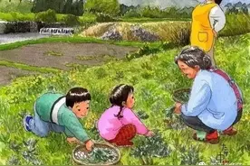 儿时记忆｜挖 野 菜图片