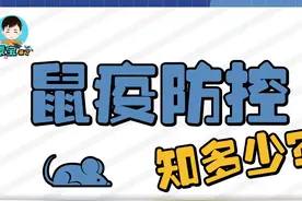 蒙宝来了|鼠疫防控知多少？图片