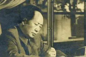 专列南巡途中，毛主席突然问列车员王爱梅：小王，你喜欢梅花吗？图片