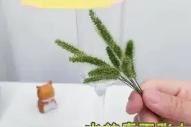 亲子手工小游戏‖防水的狗尾草图片