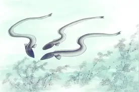 湖北男子挖出3条“巨型”鳝鱼，野生长到一斤要多久？结果很意外图片